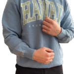 پلیور سنگشور