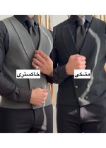 ژیله دیپلمات کد 589 - تصویر 2